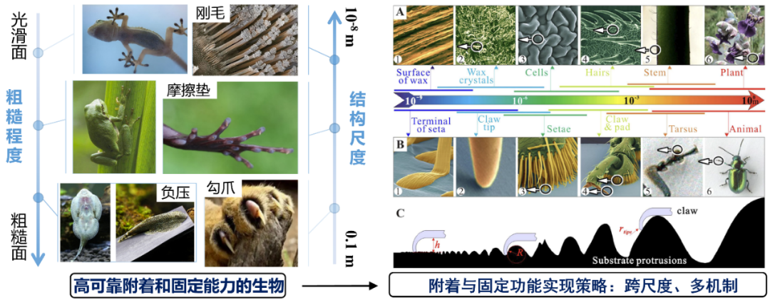 新澳彩资料免费资料大全