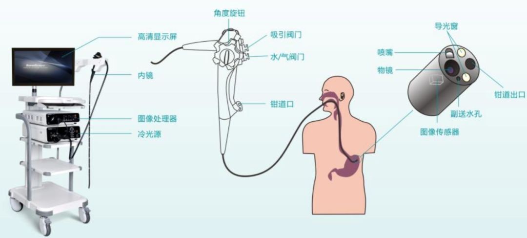 新澳彩资料免费资料大全