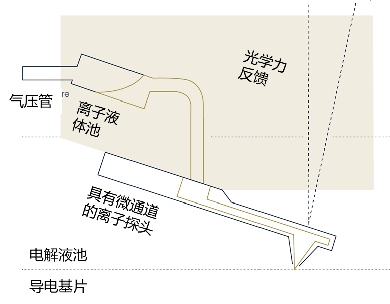 新澳彩资料免费资料大全