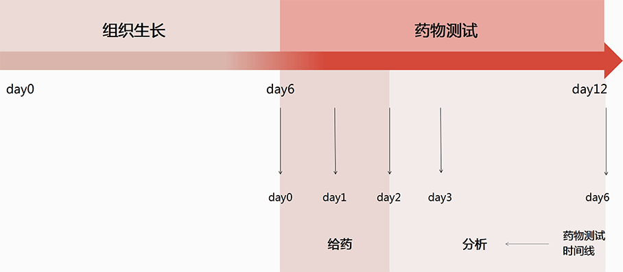 新澳彩资料免费资料大全